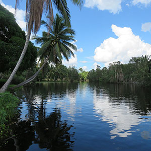 artesania